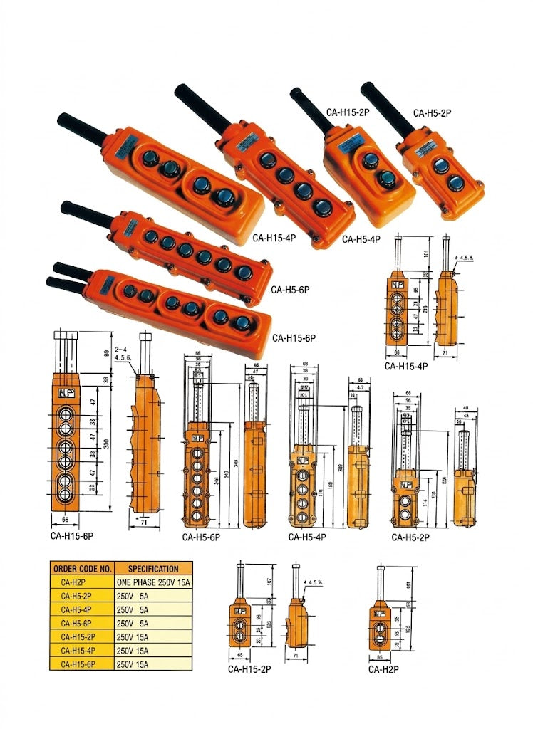 Hoist Pendant Switch, All Ampere Available on Demand, 5A / 15A, 2 / 4 / 6 Button
